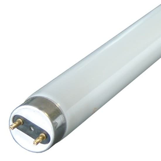 Tub Neon Fluorescent MASTER TL-D SUPER 80 58W/865 Phillips