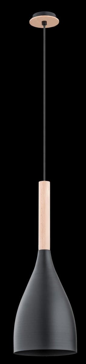 Lustra Pendul Alfa Juice Neagra 1xE27
